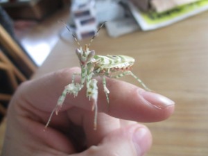 IMG_1138.JPG