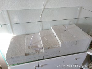 Das Nest aus Ytong im neuen Becken - Bauabschnitt 7