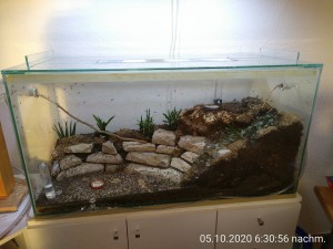 Das alte Becken