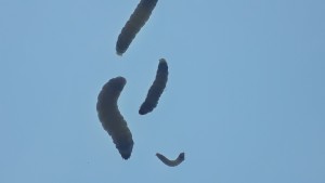 20201215_135029.jpg
