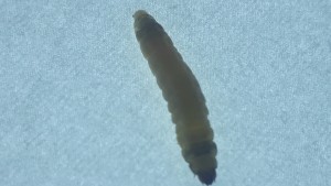 20201215_134914.jpg