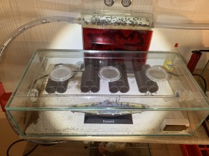 Bild 288 - Bismarck-Arena