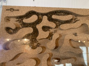 Bild 291 - Wohnung im Plattenbau