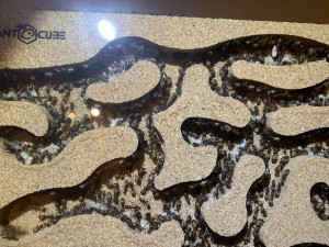 Bild 306: Teilfoto vom Plattenbau oben Links