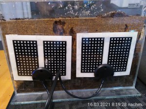 IMG_20210316_201928.jpg (2.85 MiB) 12804 mal betrachtet Das Camp Nico wird nach fast 18 Monaten wieder beheizt.