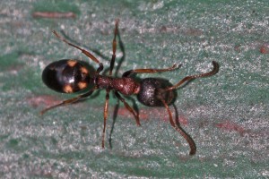 IMG_5544.jpg