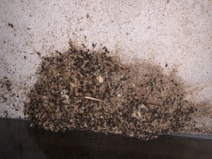 85BD43E0-0ADB-4C01-974D-9E197639ABCB.jpeg (4.9 MiB) 3114 mal betrachtet Bild 454