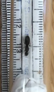 A799898E-FD3F-4146-A9EC-873262EBDE50.jpeg (37.95 KiB) 1181 mal betrachtet A799898E-FD3F-4146-A9EC-873262EBDE50.jpeg