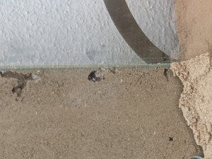 PXL_20210616_164631589.jpg (1.82 MiB) 2737 mal betrachtet In der Kammer der Gyne
