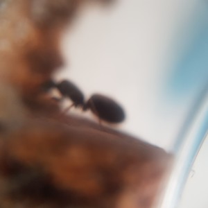 20210617_184022.jpg