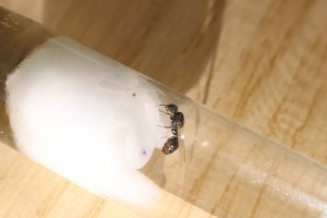 IMG_5378.JPG