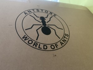 B9B6305B-2667-4C78-8111-D616C61BBD75.jpeg (3.31 MiB) 1682 mal betrachtet Bild 542