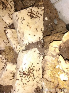 anderthalb Stunden später