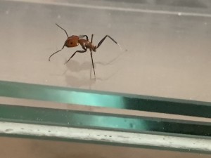 Bild 572: sehr trauriges Bild