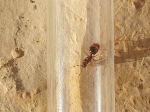 20210824_072839.jpg