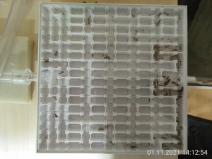 gerade "live" aufgenommen