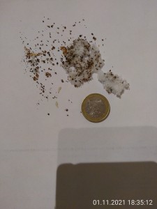 Sie waren wieder "fleissig"...