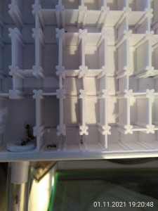 Und auch auf dem Weg zurück nimmt sie eine "Abkürzung". Die Spur ist aber mehr oder weniger gelegt...