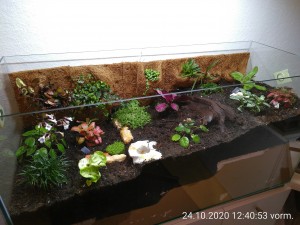 Das war der Anfang ohne die vielen kleinen Pflänzchen.