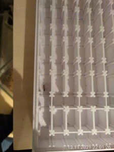 ...aber eine dreht um und startet auf der kurzen Seite durch, sie nimmt die erste Kurve...