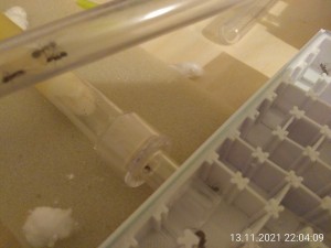 Doch was ist das? Eine dreht wieder um und geht direkt zum RG-Eingang zurück, sie geht rein und dreht wieder um.