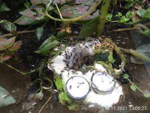 DIe "Uhren" mussten umziehen, an der alten Stelle waren sie nicht mehr ablesbar.