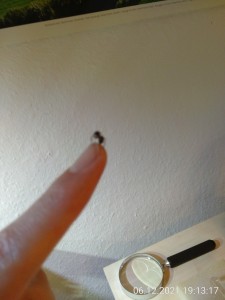 Sie "hing" sofort an meinem Finger.