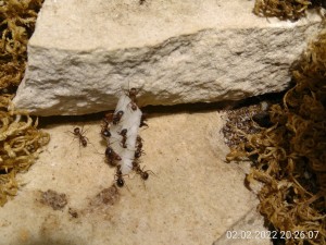 kurz nach der Fütterung