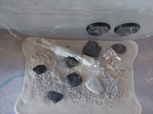 20220208_135816.jpg