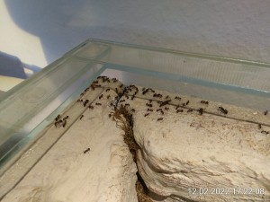 Ich hätte gern mal einen Blick in eine dieser Ritzen zwischen den Wänden.