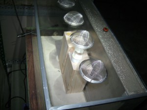 pragmatische Einrichtung