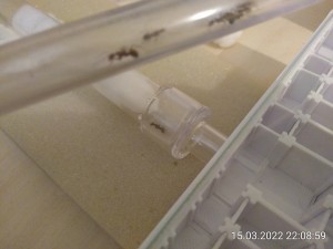 Herzlichen Glückwunsch an Nr. 4!