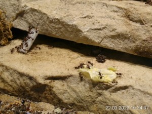 Nach ein paar Minuten kann man nicht von Desinteresse sprechen.