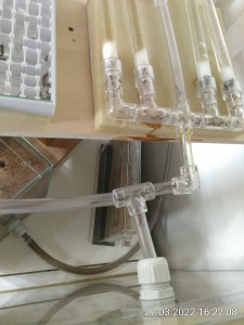 Jetzt geht's wieder.