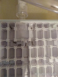 ...aber es ist knifflig...