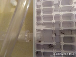 bis es dann doch geht!