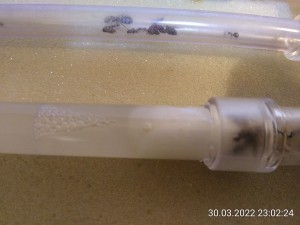 Es herrscht reger Andrang!