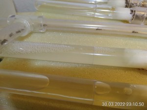 und nochmal 8 Minuten später