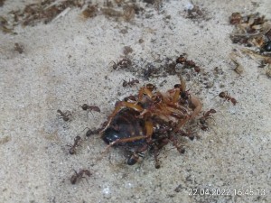 Damit sind sie heute noch beschäftigt.