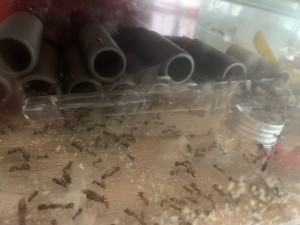 Bild: 724<br />10:57