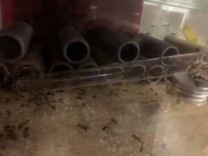 Bild: 725<br />22:08