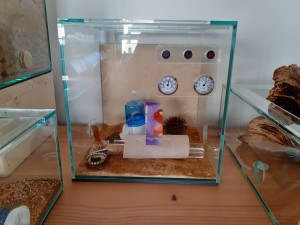 20220424_112110.jpg (2.71 MiB) 4130 mal betrachtet Vielleicht brauchen sie ja nie mehr Platz.