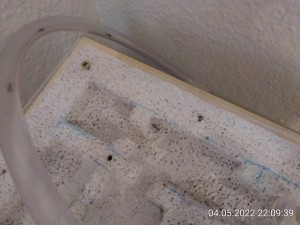 ...die erste mutige Kundschafterin