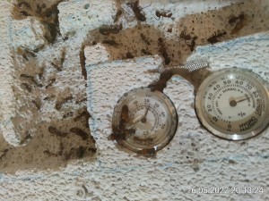 Eine Hälfte haben sie schon "befreit".