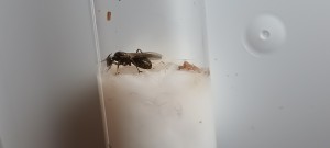 20220616_152443.jpg