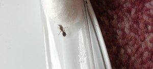 20220626_171602.jpg