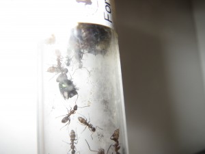 IMG_1781.JPG