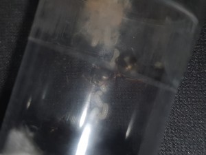 20220703_212945.jpg
