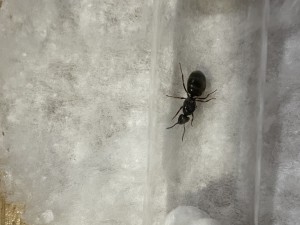 14586143-67DF-4CCF-B1AF-32CCAEA444E6.jpeg