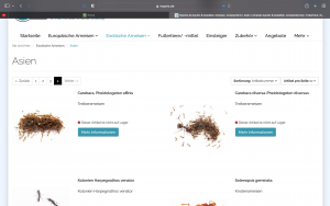 Bildschirmfoto 2022-07-09 um 22.19.34.png